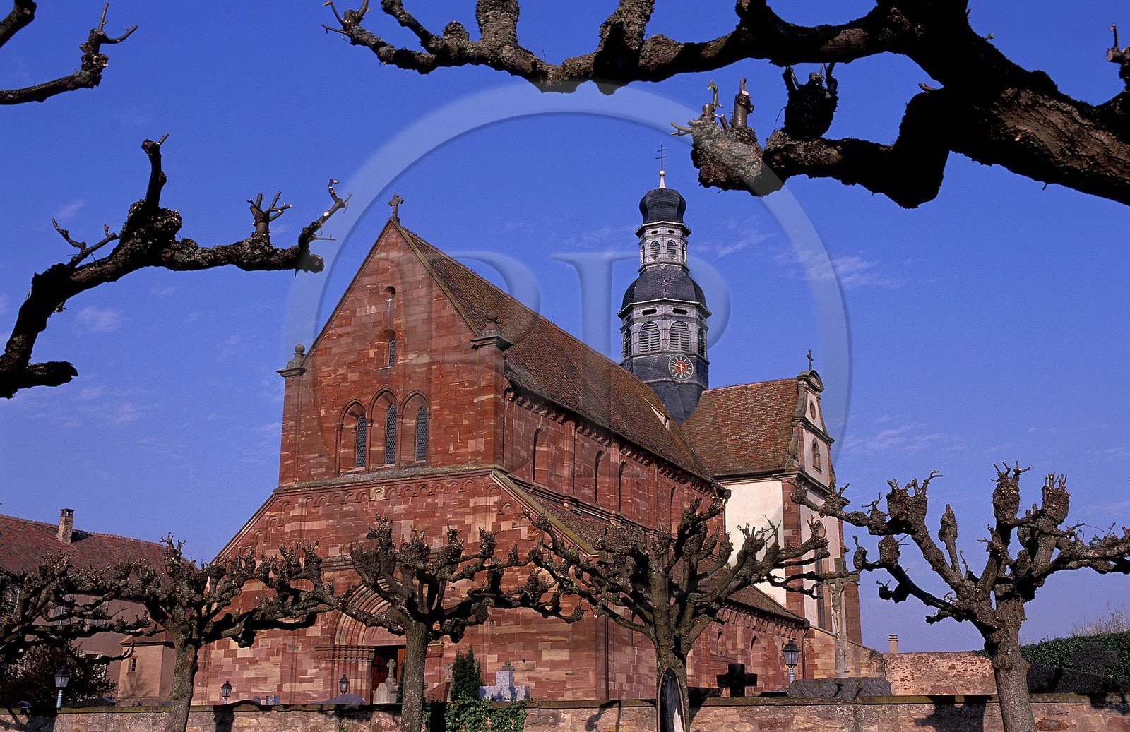 France, Bas-Rhin (67), village d' Altorf l' église Saint-Cyriaque