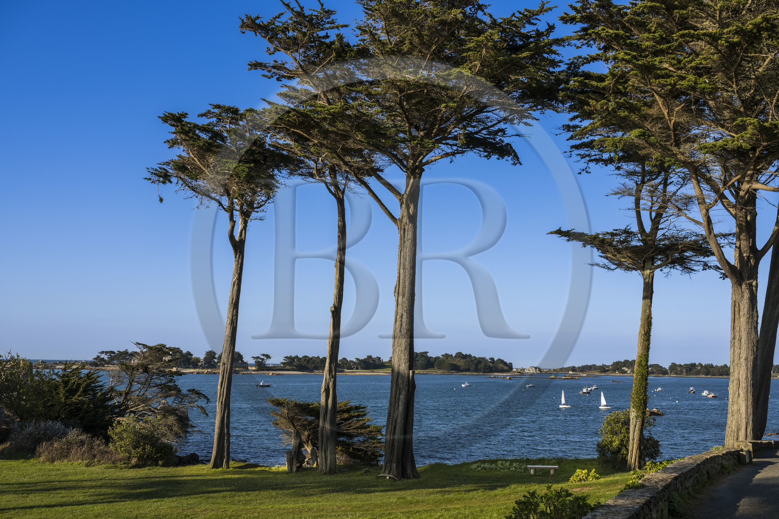 France, Côtes-d'Armor (22), Côte d'Ajoncs, Penvénan, Port Blanc,