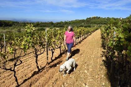 France, Var, Iles d'Hyeres, Parc National de Port Cros (National park of Port Cros), Porquerolles island, Mrs. Perzinsky and his dog in the Perzinsky vineyards Domaine