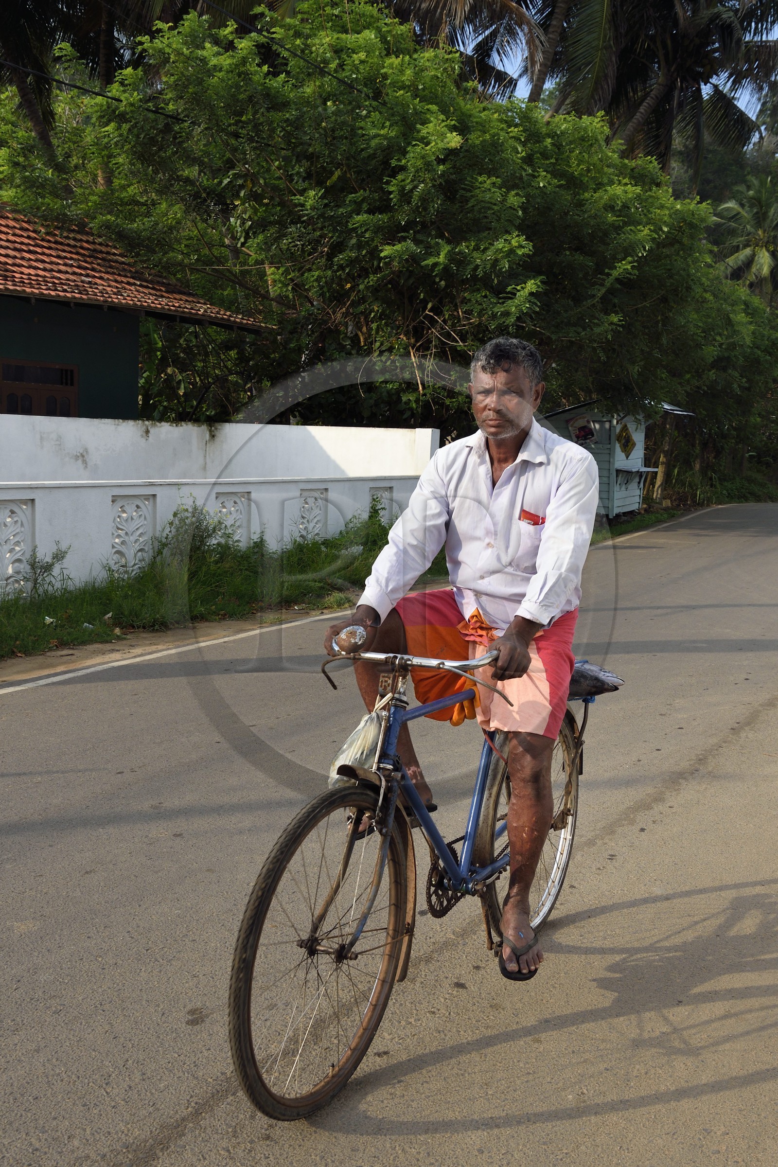 Sri Lanka, Province du Sud, Matara (district), Weligama, les acheteurs de poissons sortent du port de pêche de Mirissa