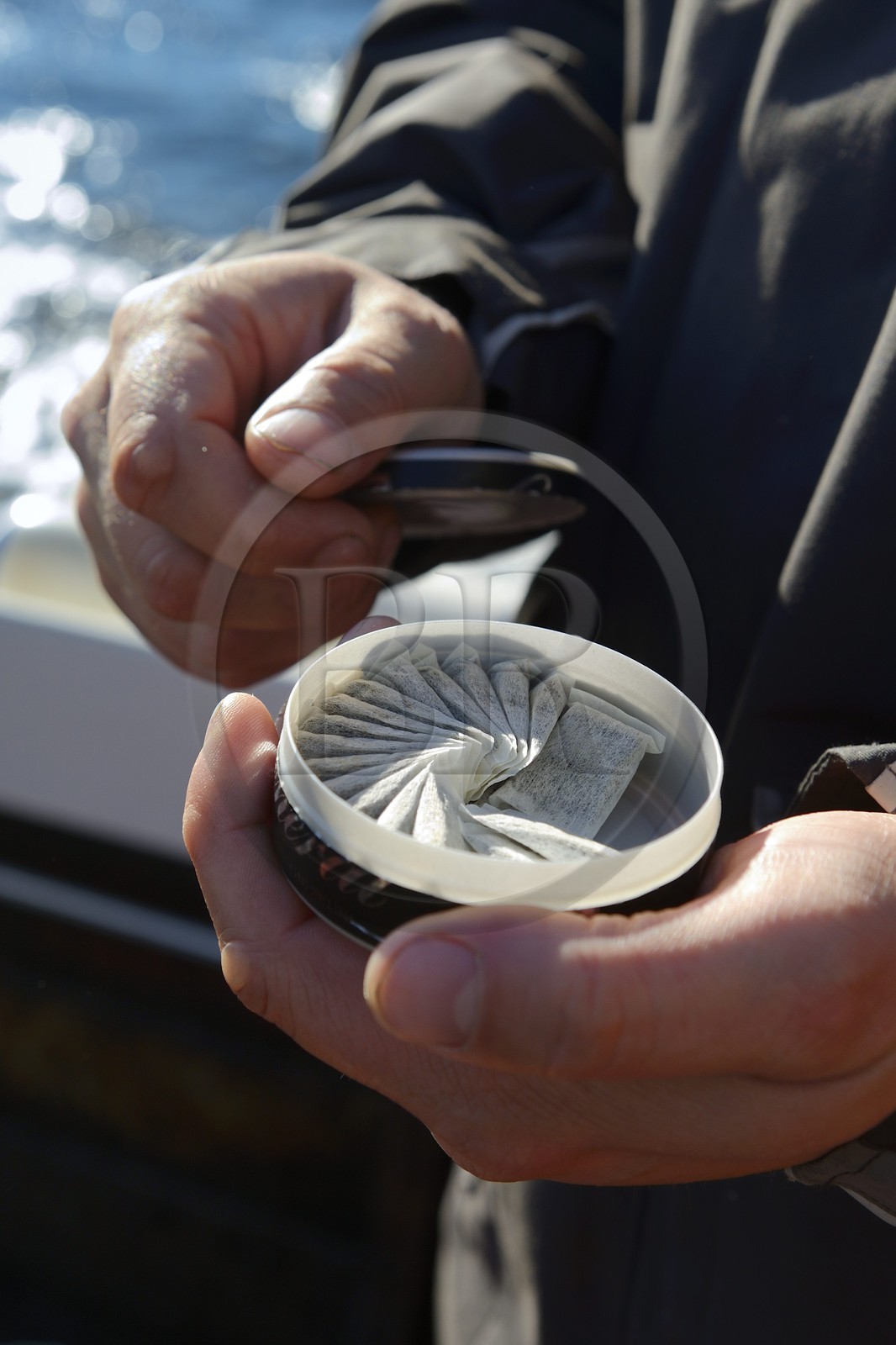 Sweden, Västra Götaland, Koster Islands, chewing snuffing powdered tobacco called snus