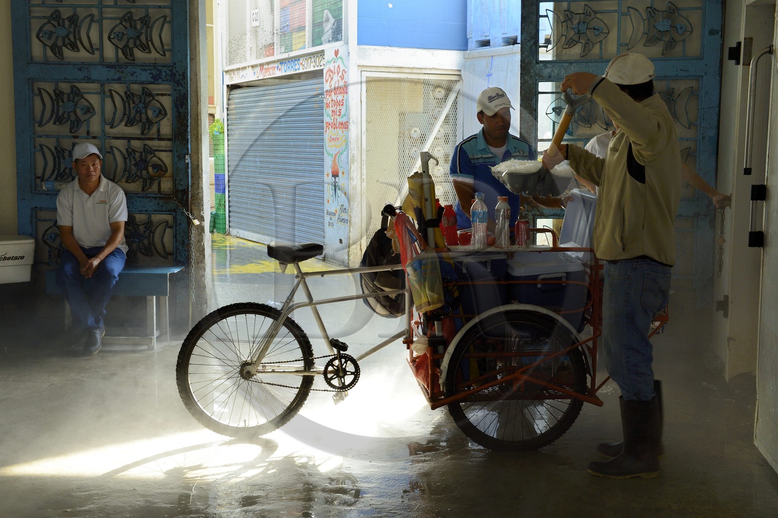 Panama, Panama City, Santa Ana neighborhood, Fish Market (Mercado de Mariscos), loading ice in a street vendor delivery tricycle