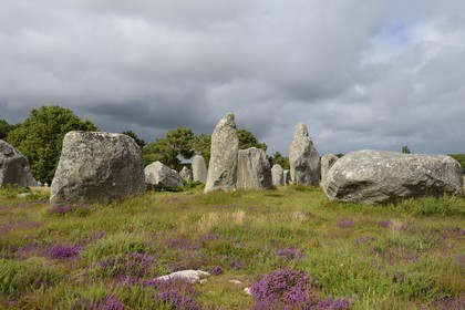 France, Morbihan, Carnac, row of megalithic standing stones at Kermario