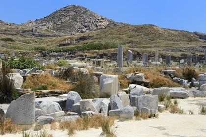 Grèce, île de Delos, classée Patrimoine Mondial de l'UNESCO, site archéologique de Délos, sanctuaire d'Apollon, la plus grande cité antique de la mer Egée, vestiges du quartier du port