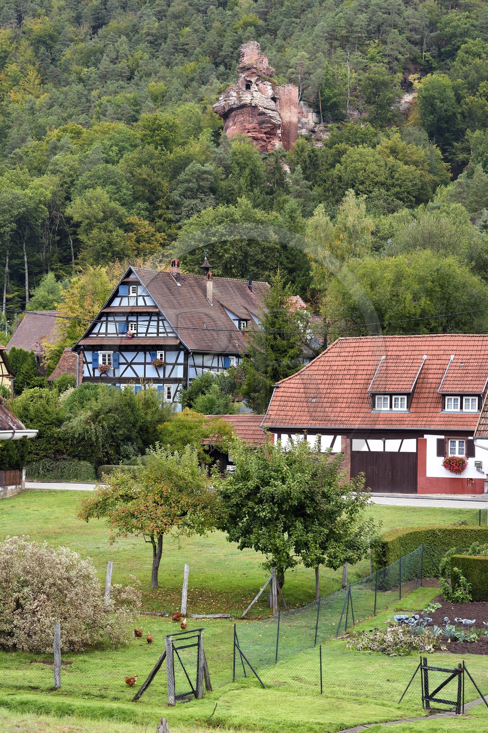 France, Bas Rhin, Northern Vosges Regional Natural Park, Obersteinbach, Klein Arnsberg Castle ruins overlooking the village