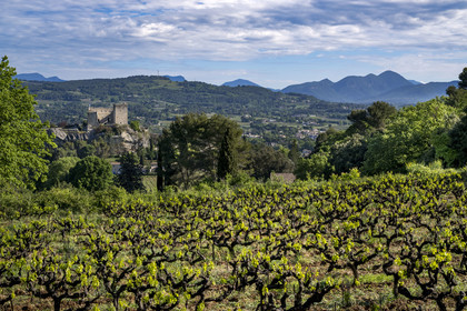 France, Vaucluse (84), Dentelles de Montmirail, Vaison-la-Romaine, vignes sur les hauteurs et le chateau des Comtes de Toulouse construit au XIIe siècle au sommet de la cité médiévale