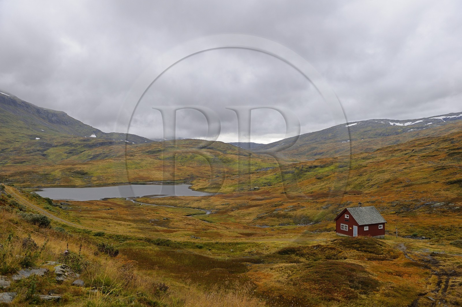 Norvège, Hordaland, Vikajfell, route de Vik à Voss