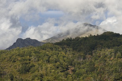 France, Corse-du-Sud (2A), Vallée du Prunelli, Bastelica