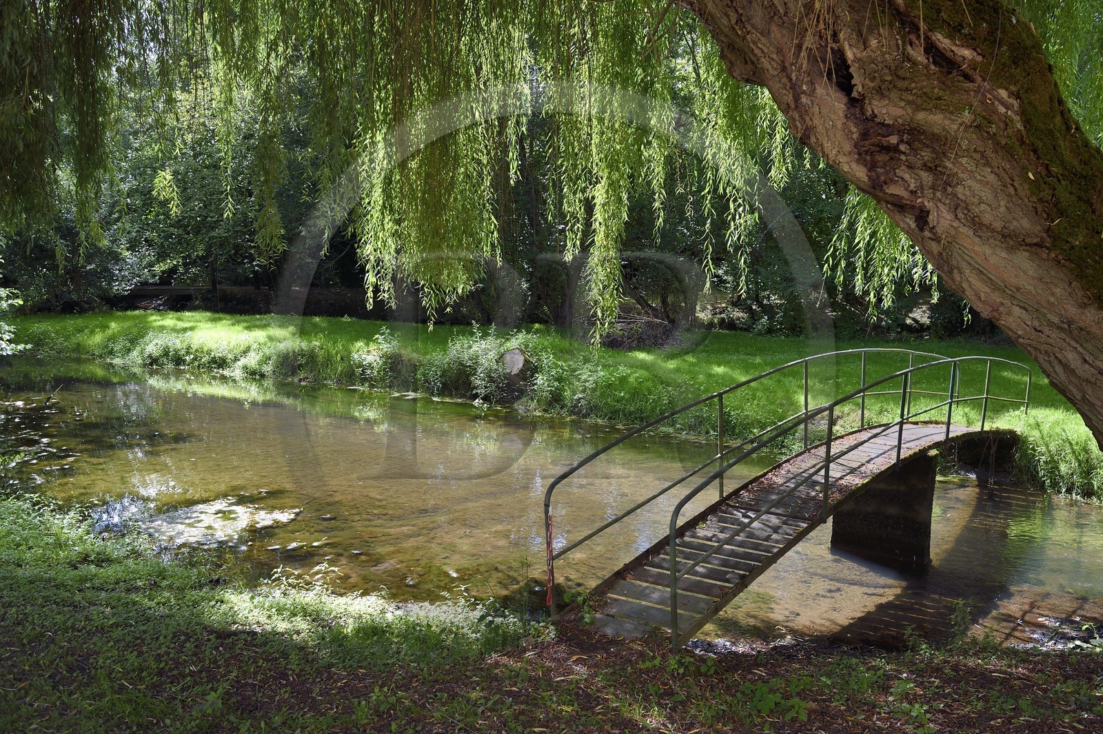 France, Charente-Maritime (17), Saintonge, Saint-Savinien, petit pont sur le Bramerit à Coulonge-sur-Charente