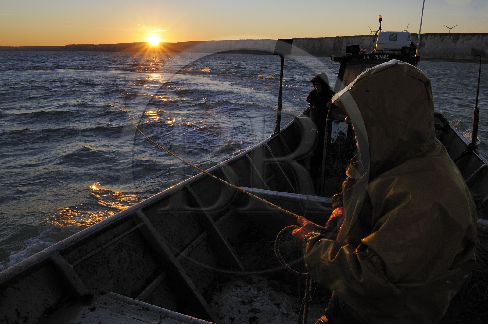 France, Seine-Maritime (76), au large de Veules-les-Roses à l'aube, pêche au filet à bord du bateau La Pomme appartenant à Anthony Paumier le plus jeune patron de pêche de France