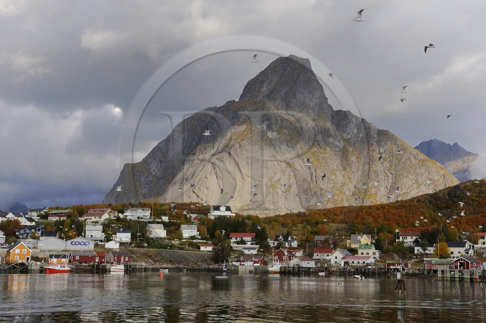 Norvège, Nordland, Iles Lofoten, ile de Moskenesoy, le village de pêcheurs de Reine