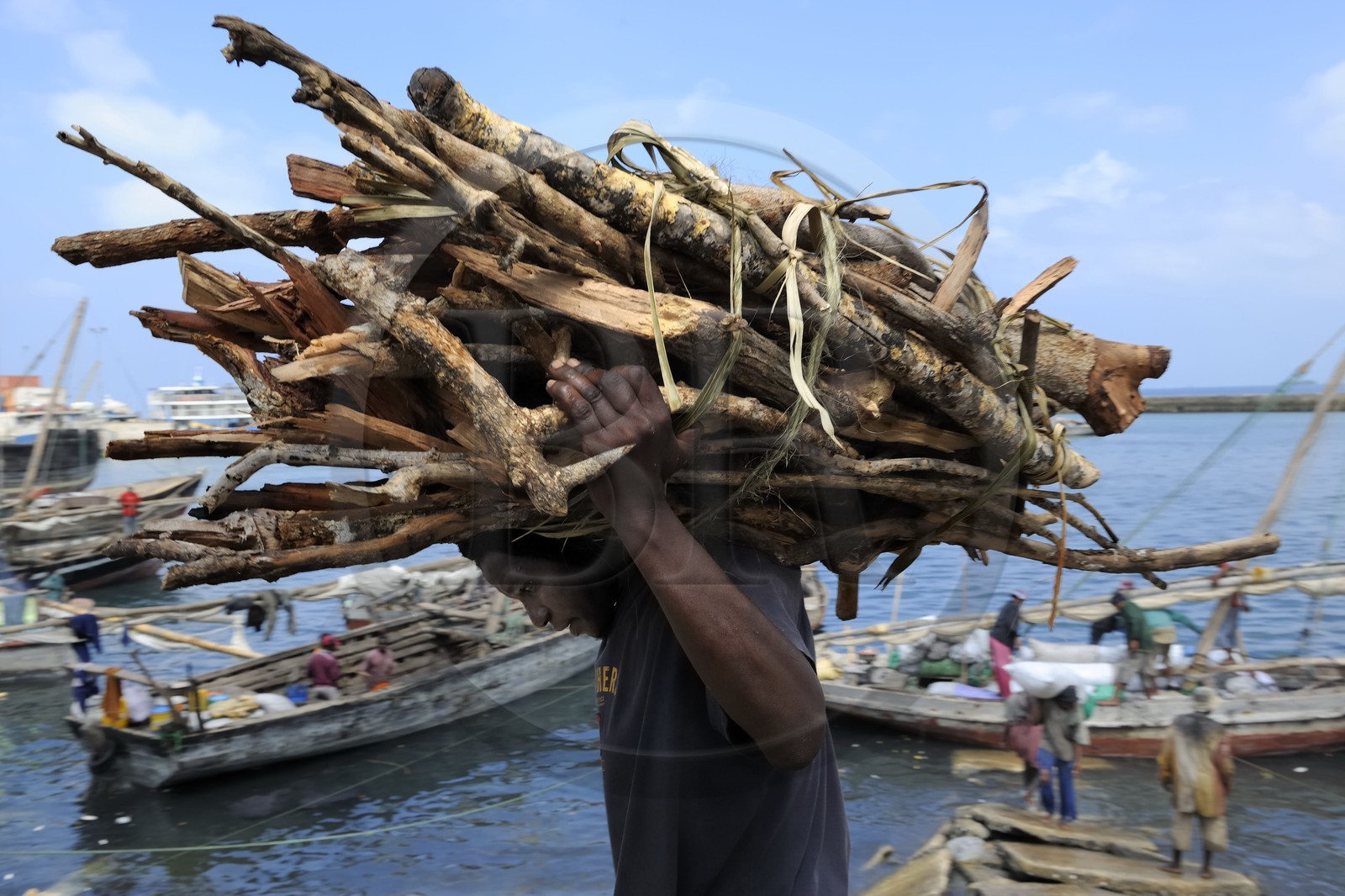 Tanzanie, archipel de Zanzibar, île de Unguja (Zanzibar), ville de Zanzibar, quartier Stone Town, classé Patrimoine Mondial de l' UNESCO, port des dhows (boutres traditionnels), déchargement de bois