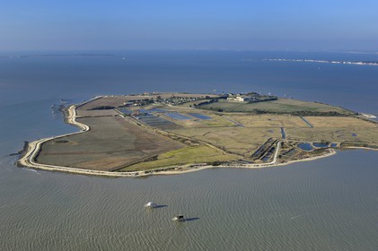 France, Charente-Maritime (17), Ile Madame (vue aérienne)