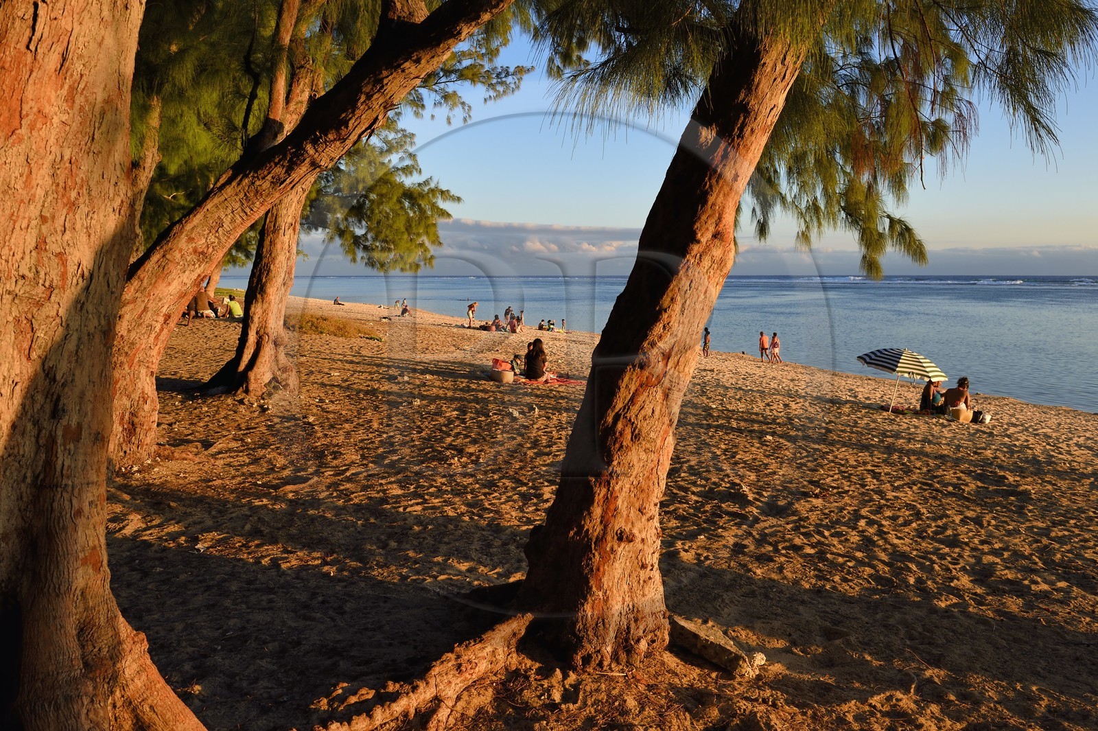 France, île de la Réunion, la Cote Ouest, plage du lagon de Saint-Gilles-Les-Bains à l'Ermitage-les-Bains, à l'ombre des filaos