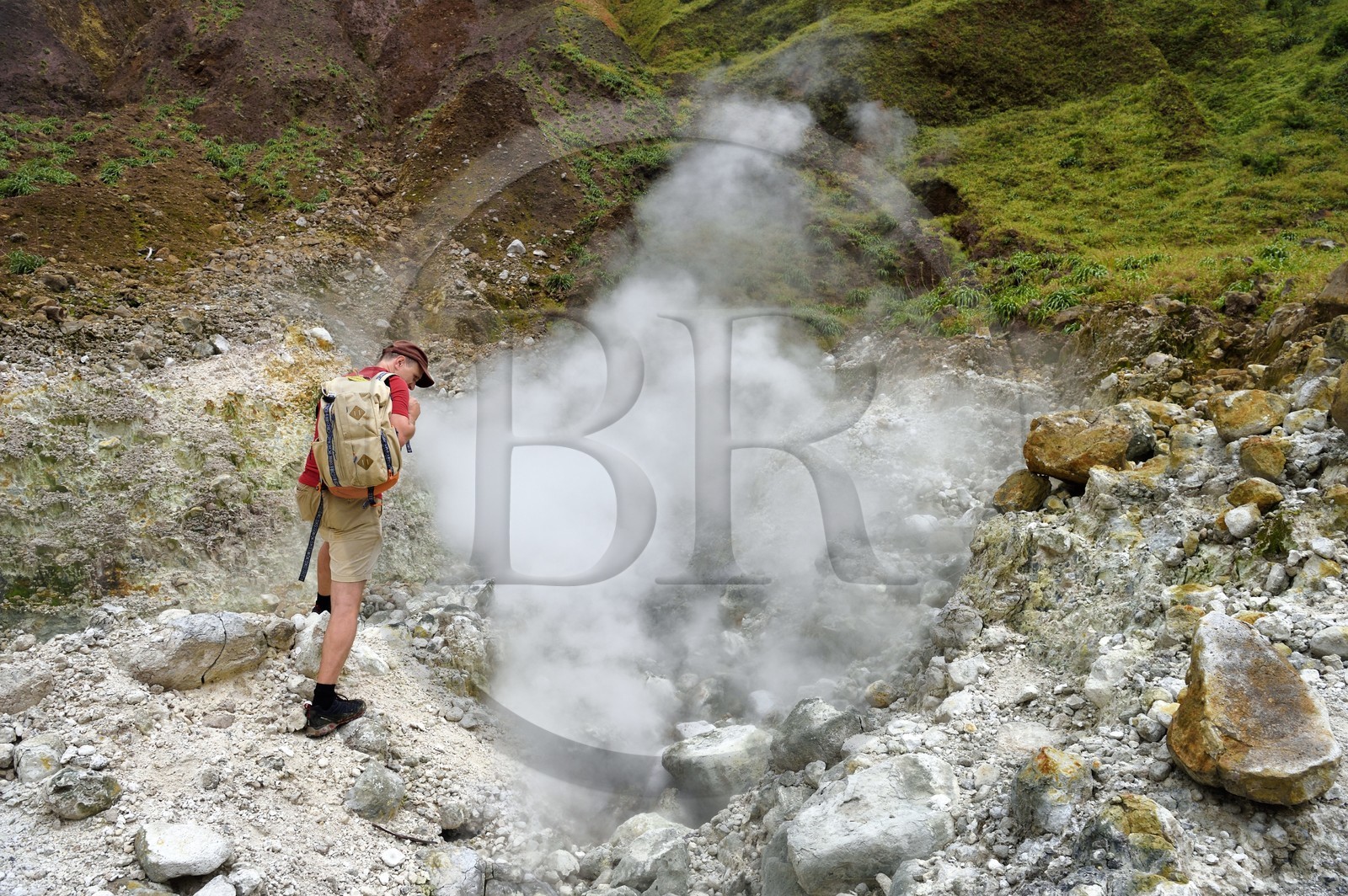Caraïbes, Ile de la Dominique, Castle Bruce, Parc national du Morne Trois Pitons classé Patrimoine Mondial de l'UNESCO, la Vallée de la Désolation avec fumerolles et sources d'eau chaude, randonnée sur le sentier menant au Boiling Lake