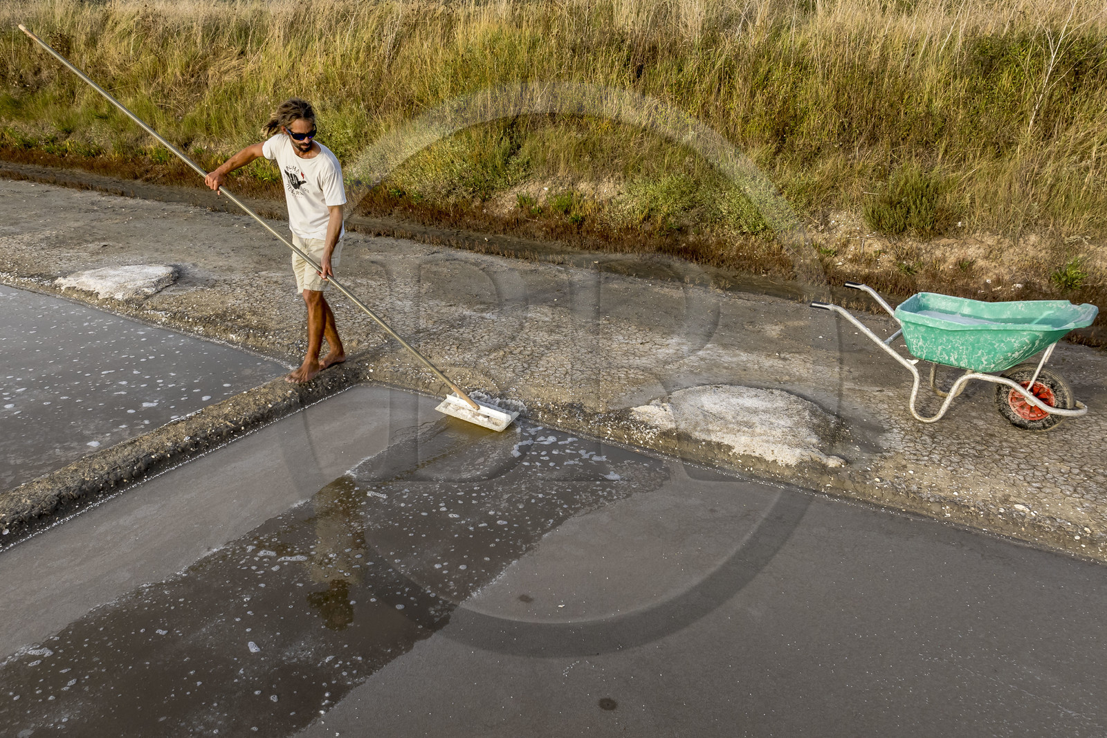 France, Charente Maritime, Oleron island, Saint Georges d'Oléron, artisanal picking of flower of salt by salt worker Samuel Barbereau