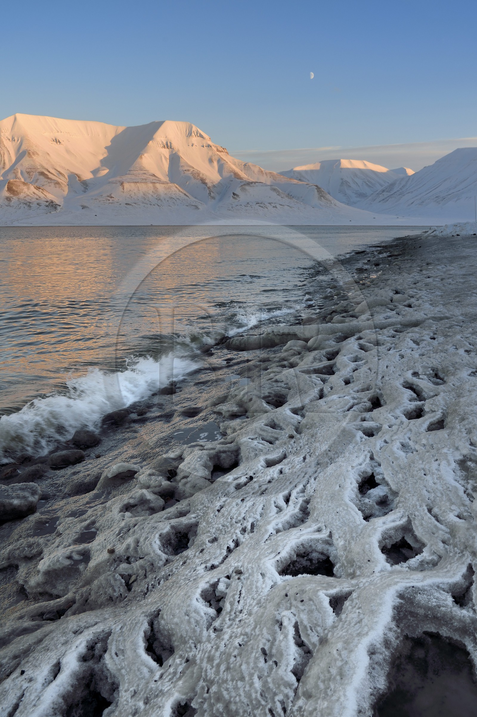 Norvège, Svalbard, Spitzberg, Longyearbyen, Adventfjorden, dentelle d'eau salée glacée