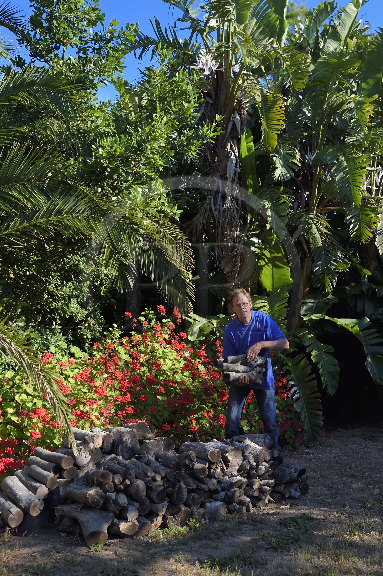 France, Var, Iles d'Hyeres, Parc National de Port Cros (National park of Port Cros), Porquerolles island, the gardener Antoine Durand in his dry garden