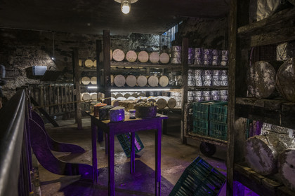 France, Aveyron (12), parc naturel régional des Grands-Causses, Roquefort-sur-Soulzon, reconstitution de la cave d'affinage du fromage de Roquefort de la marque Gabriel Coulet