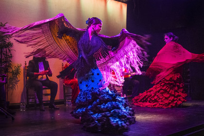 Espagne, Catalogne, Barcelone, City Hall Barcelona, spectacle de danse Flamenco