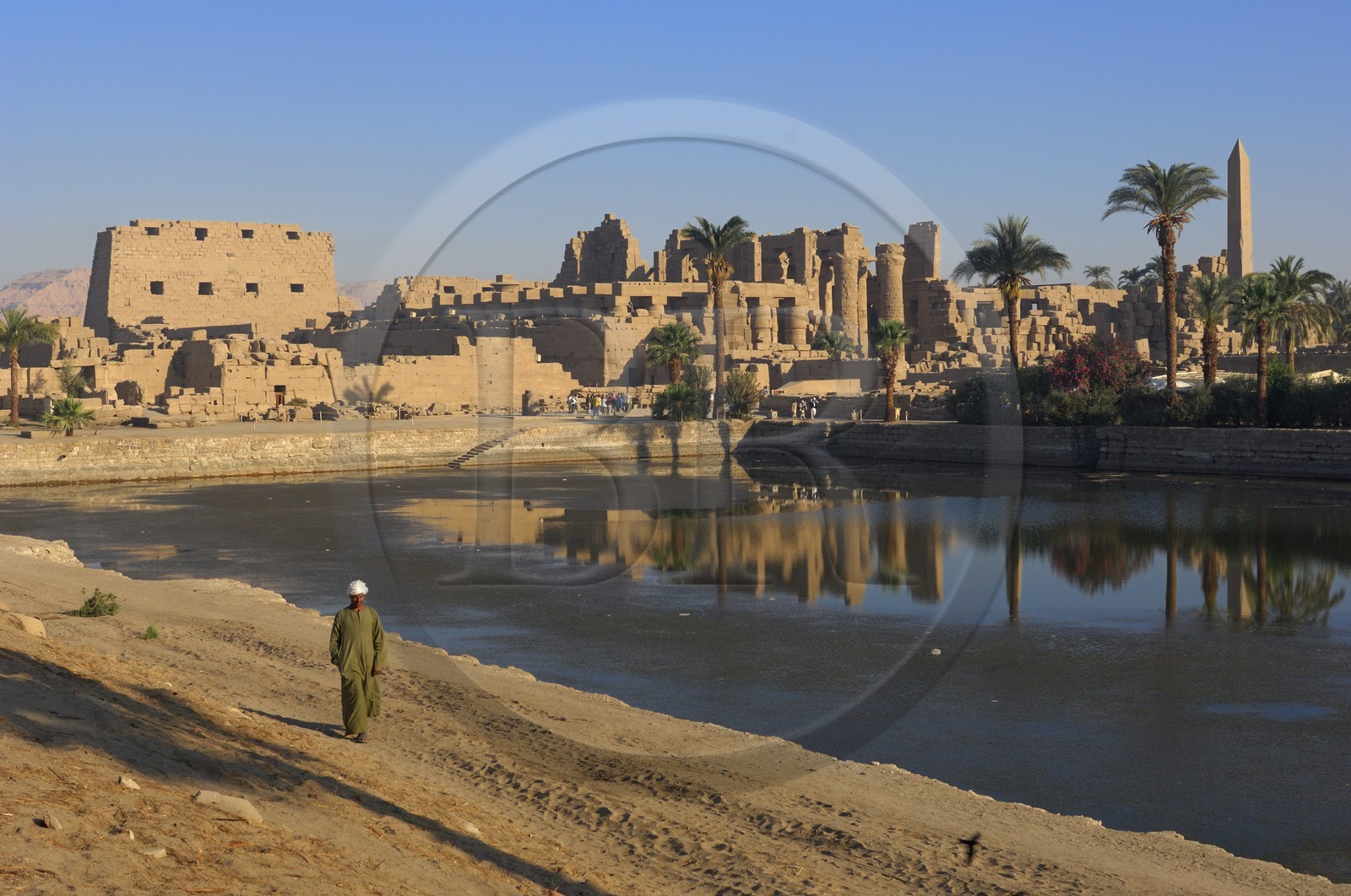 Egypte, Haute Egypte, vallée du Nil, Louxor, Karnak, classé Patrimoine Mondial de l'UNESCO, le lac sacré et les obélisques de Thoutmosis I et Hatchepsout