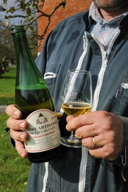 France, Seine-Maritime (76), Bretteville-du-Grand-Caux, clos-masure qui abrite l'Ecomusée de la Pomme et du Cidre au sein de la ferme