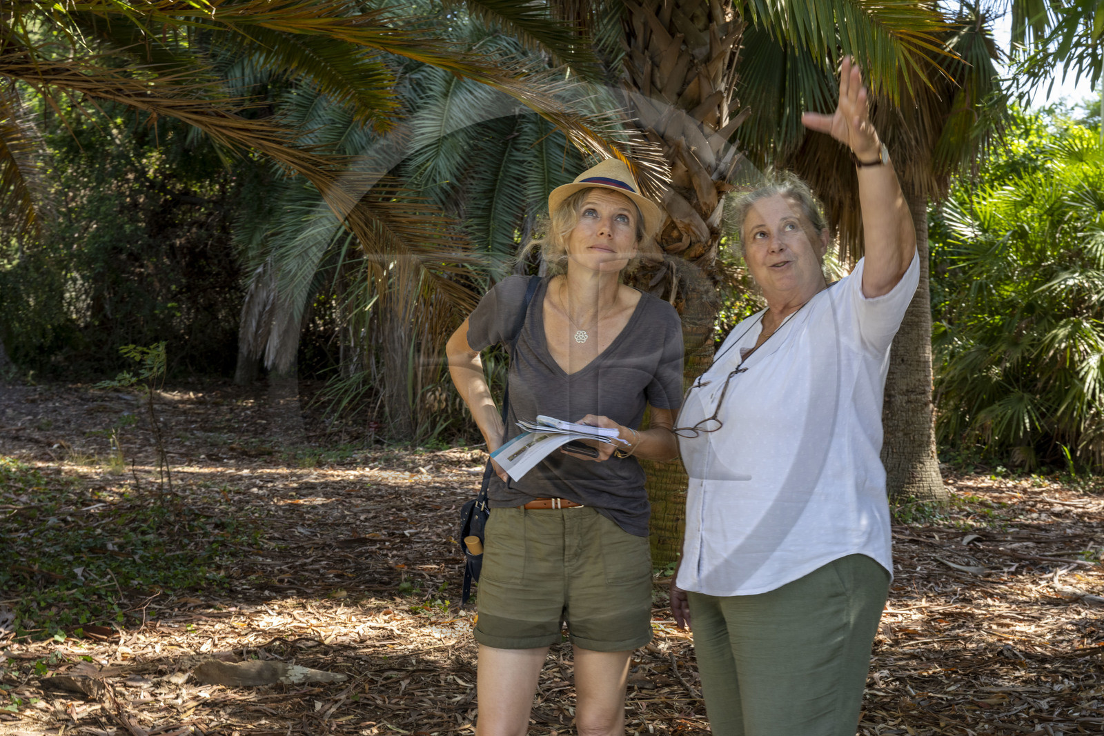France, Alpes-Maritimes, Antibes, The Botanical Garden of Villa Thuret (attached to INRAE), labeled Jardin Remarquable (Outstanding Garden) and Remarkable Tree, Catherine Ducatillion, Director Villa Thuret Experimental Unit on the right
