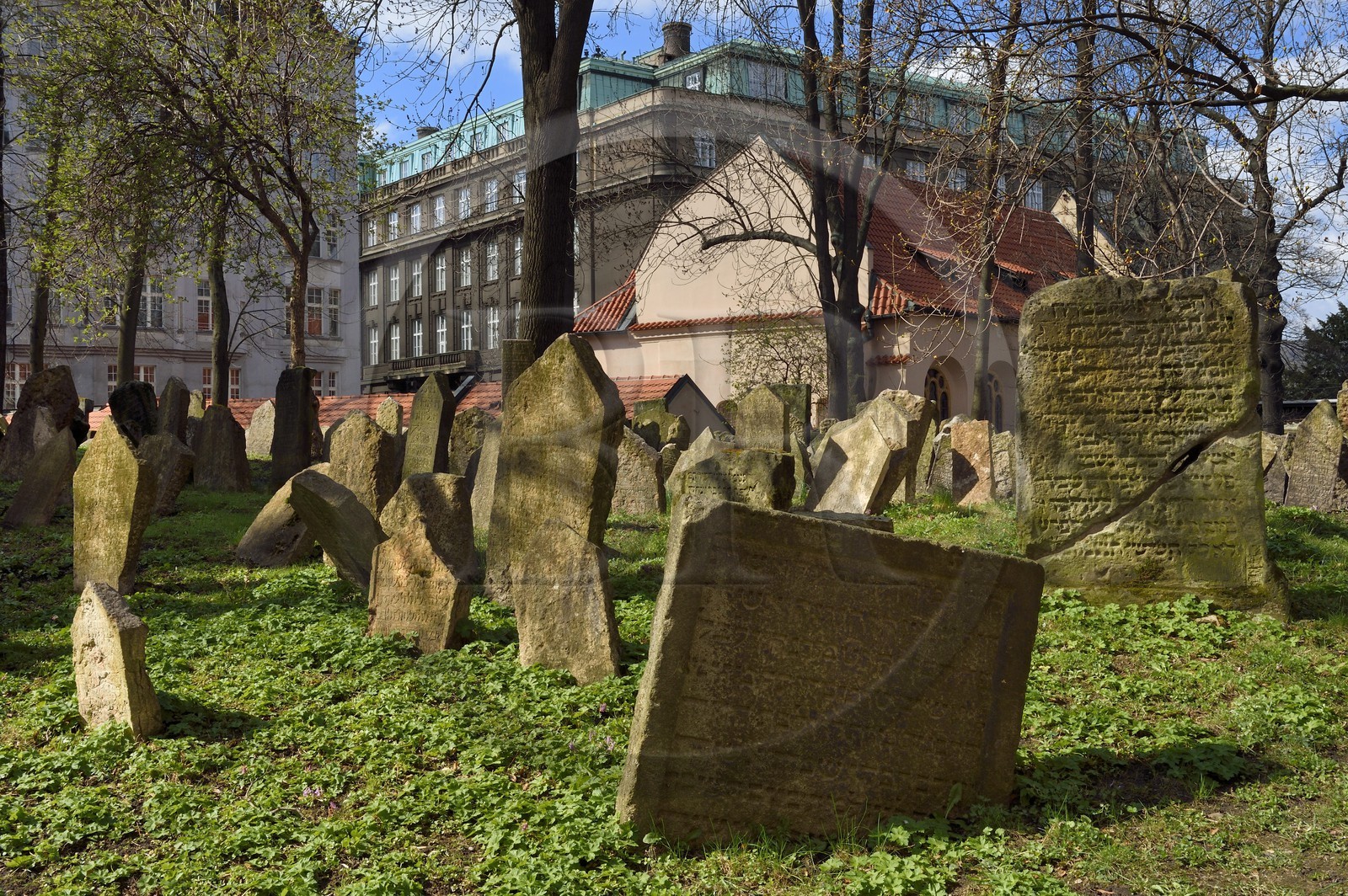 République Tchèque, Prague, centre historique classé Patrimoine Mondial de l'UNESCO, quartier juif de Josefov, cimetière juif et la synagogue Pinkas en arrière plan