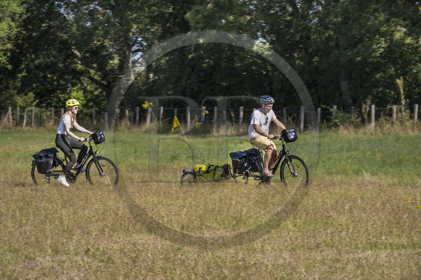 France, Maine-et-Loire, Loire valley listed as World Heritage by UNESCO, Saumur towards Saint-Hilaire, cycling on the banks of the Loire, bike with a trailer carrying camping equipment