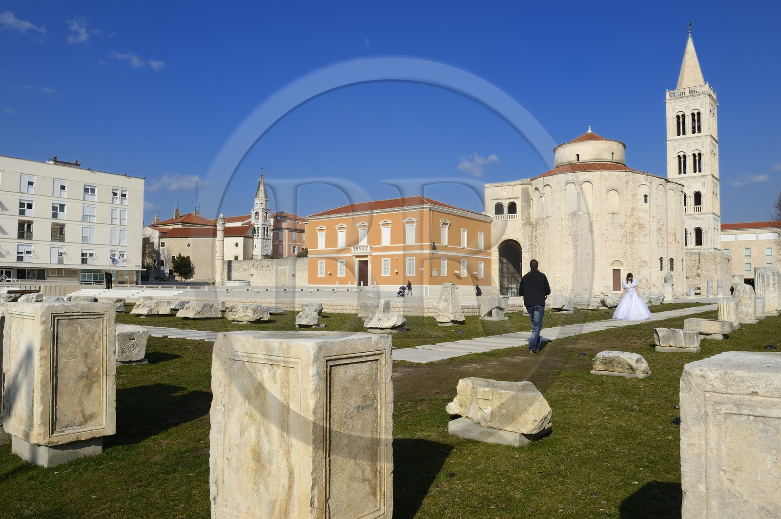 Croatie, Dalmatie, côte dalmate, Zadar, le forum romain, l'église Saint Donat et le campanile de la cathédrale