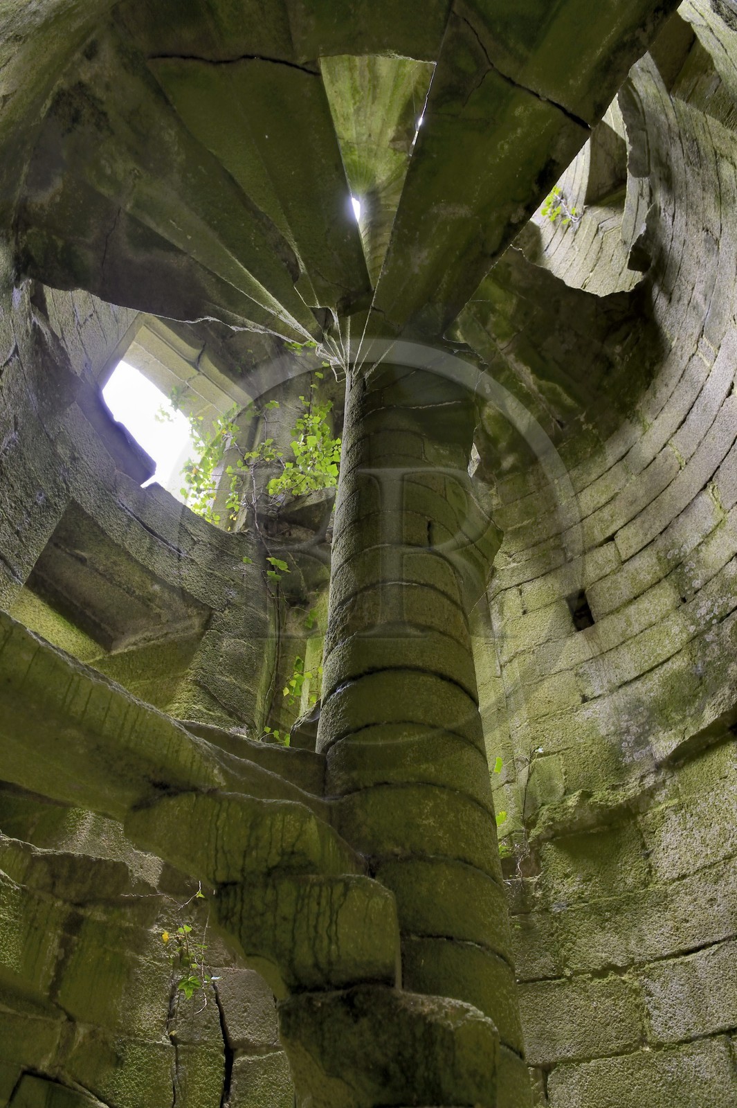 France, Finistere, Pont-Aven, Nizon, Rustephan castle, former manor house of the fifteenth and sixteenth century ruin