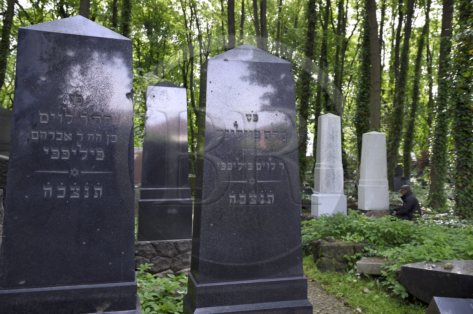 Allemagne, Berlin, quartier de Prenzlauer Berg, le cimetière israélite de Schonhauser Allee