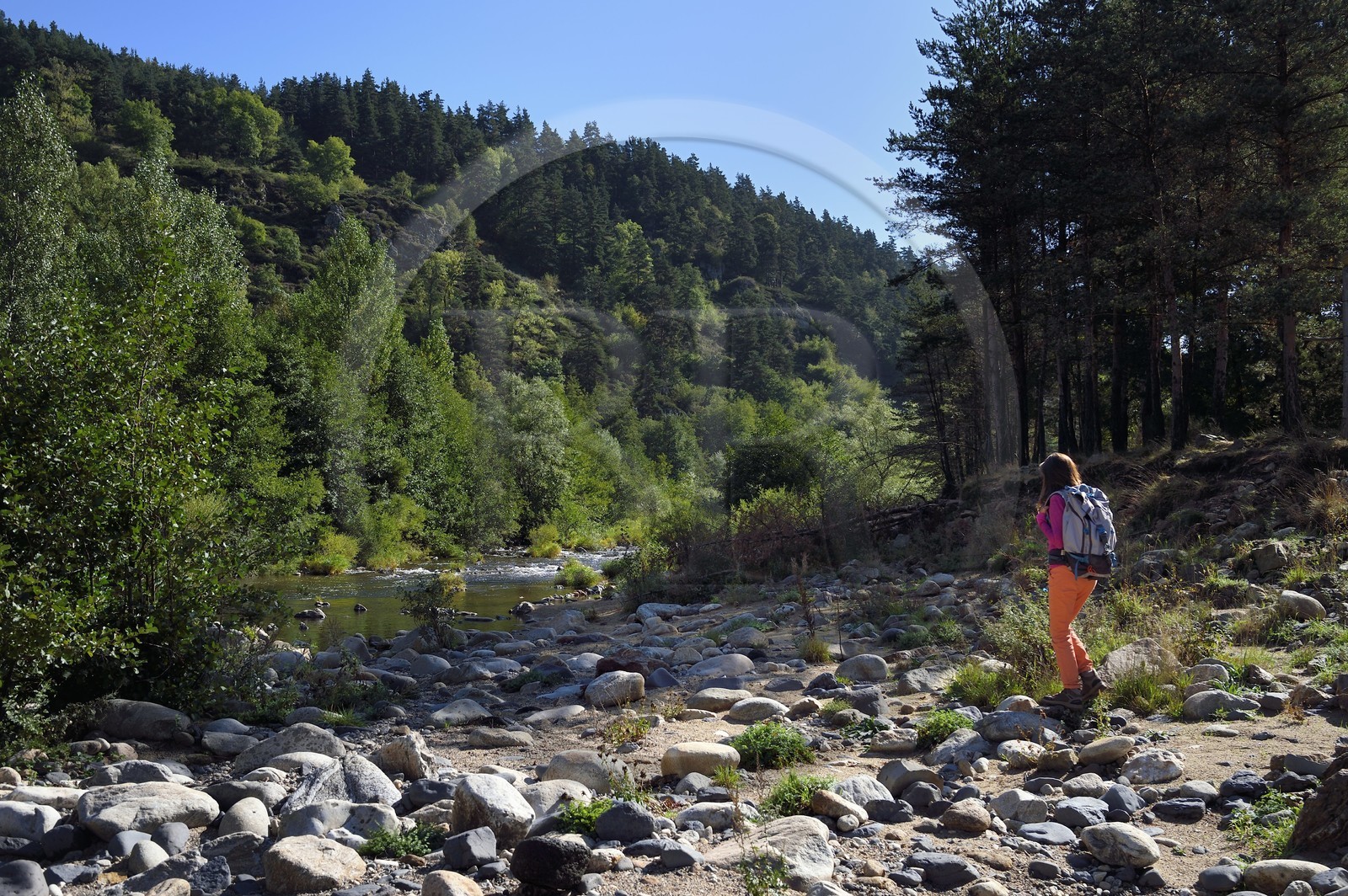 France, Haute-Loire (43), vallée de la Loire, Arlempdes, randonneuse qui remonte les berges de la Loire dans les environs d'Arlempdes