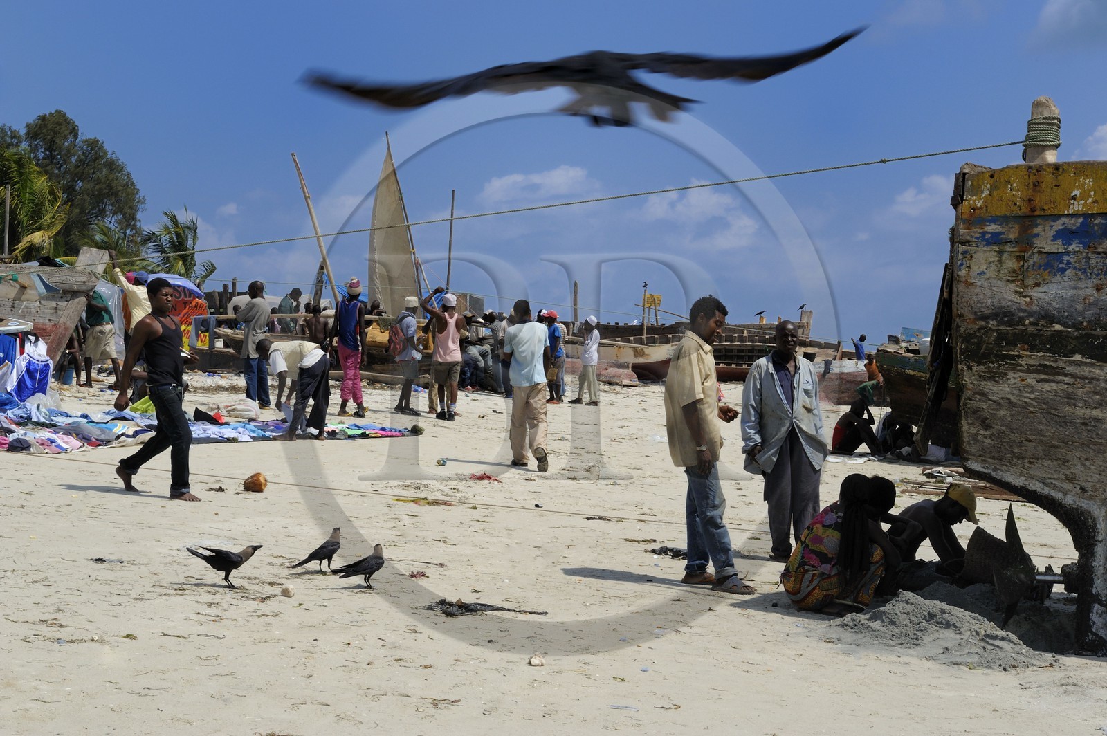 Tanzanie, Dar es-Salaam, intense activité de réparation de coques et de filets sur la plage desservant le marché aux poissons de Kivukoni