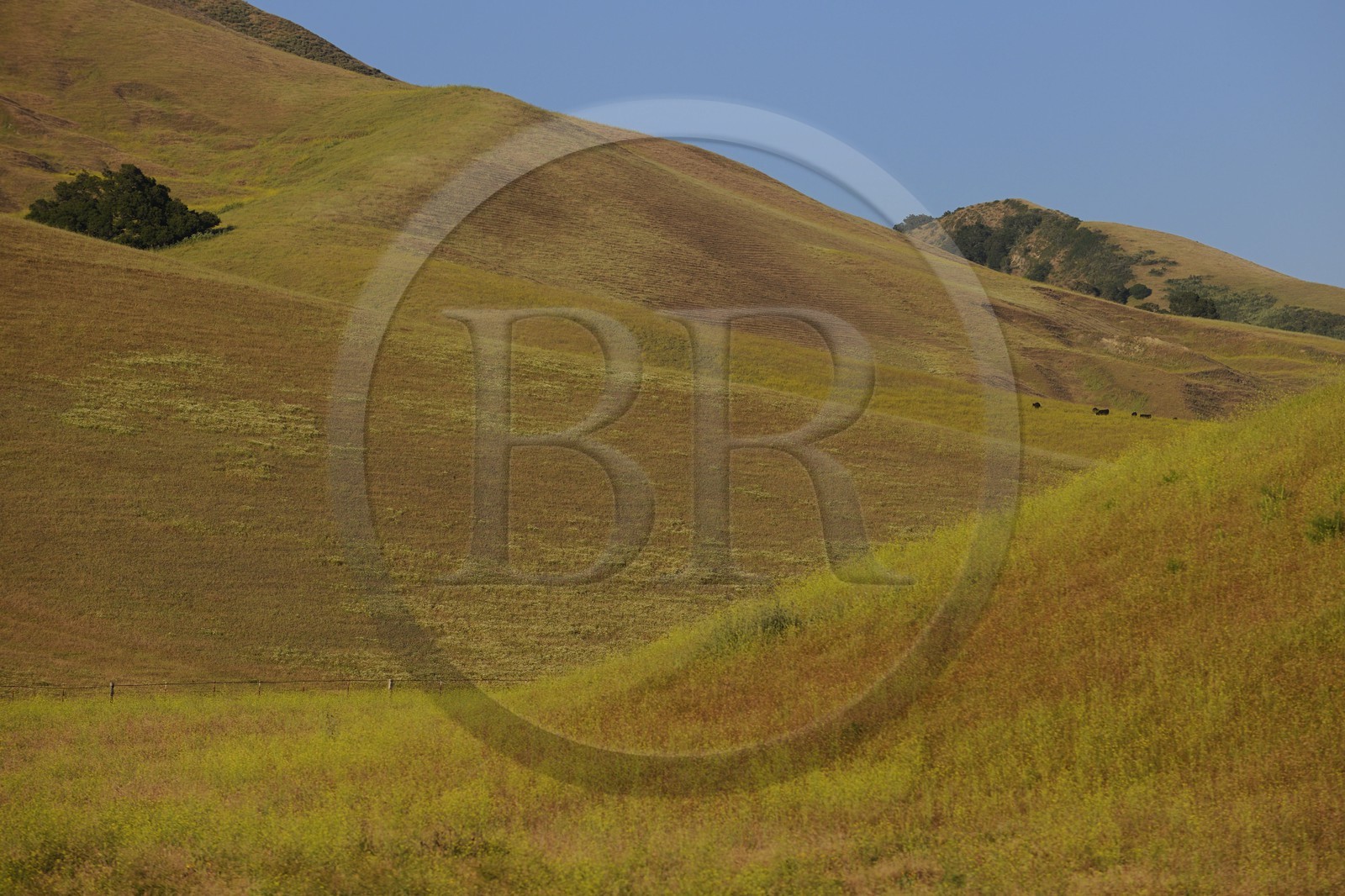 Etats-Unis, Californie, paysage de la Central Coast Region