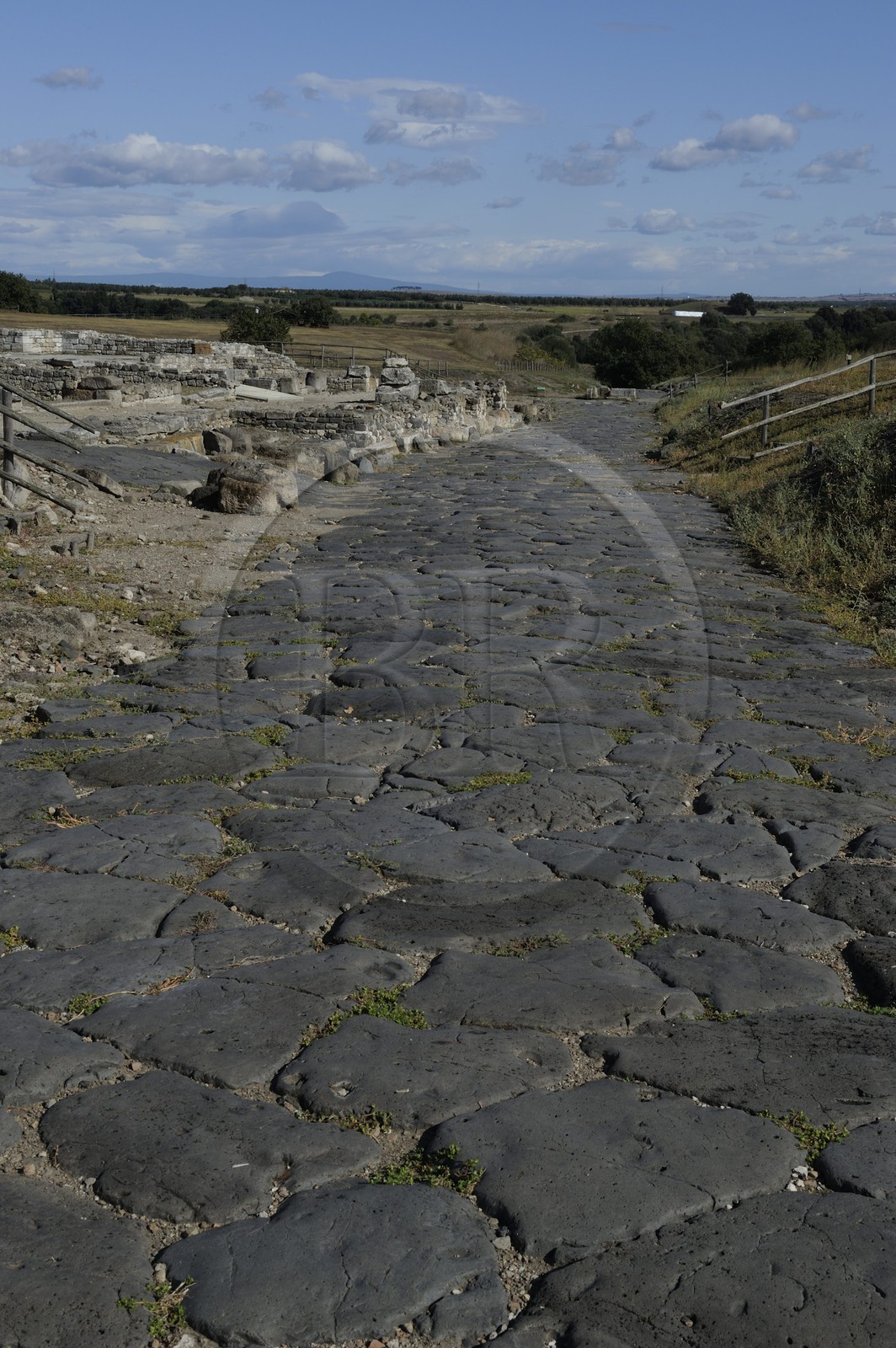Italy, Lazio , Province of Viterbo, Montalto di Castro, ancient Etruscan city of Vulci, remnant of cobbled streets