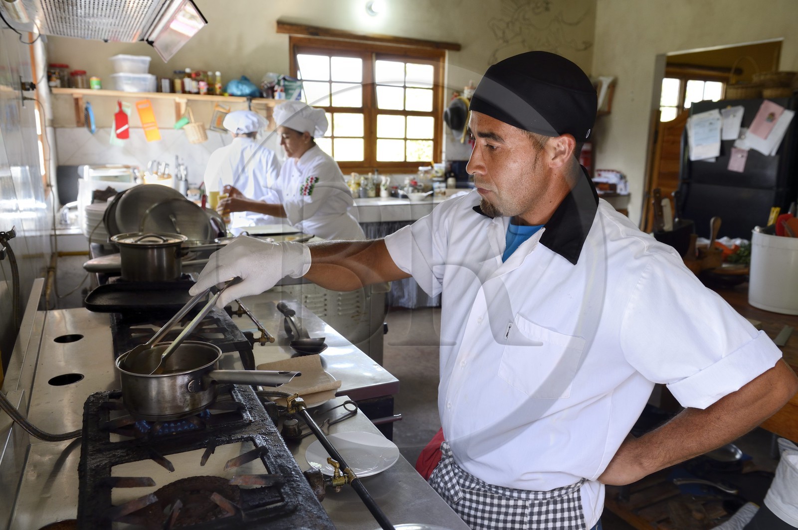 Panama, Chiriqui province, small town of Volcan, Cerro Brujo Gourmet restaurant, the chef Patricia Miranda Allen