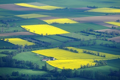 France, Eure (27), champ de colza en fleurs (vue aérienne)