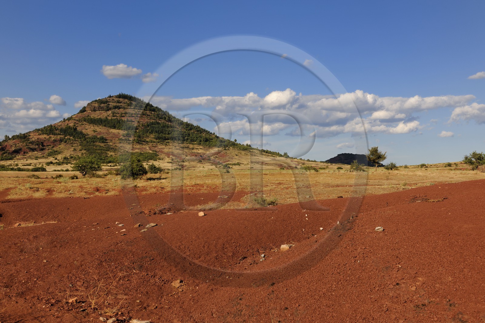 France, Hérault (34), les ruffes rouges dessinent un paysage de dunes autour de lac du Salagou