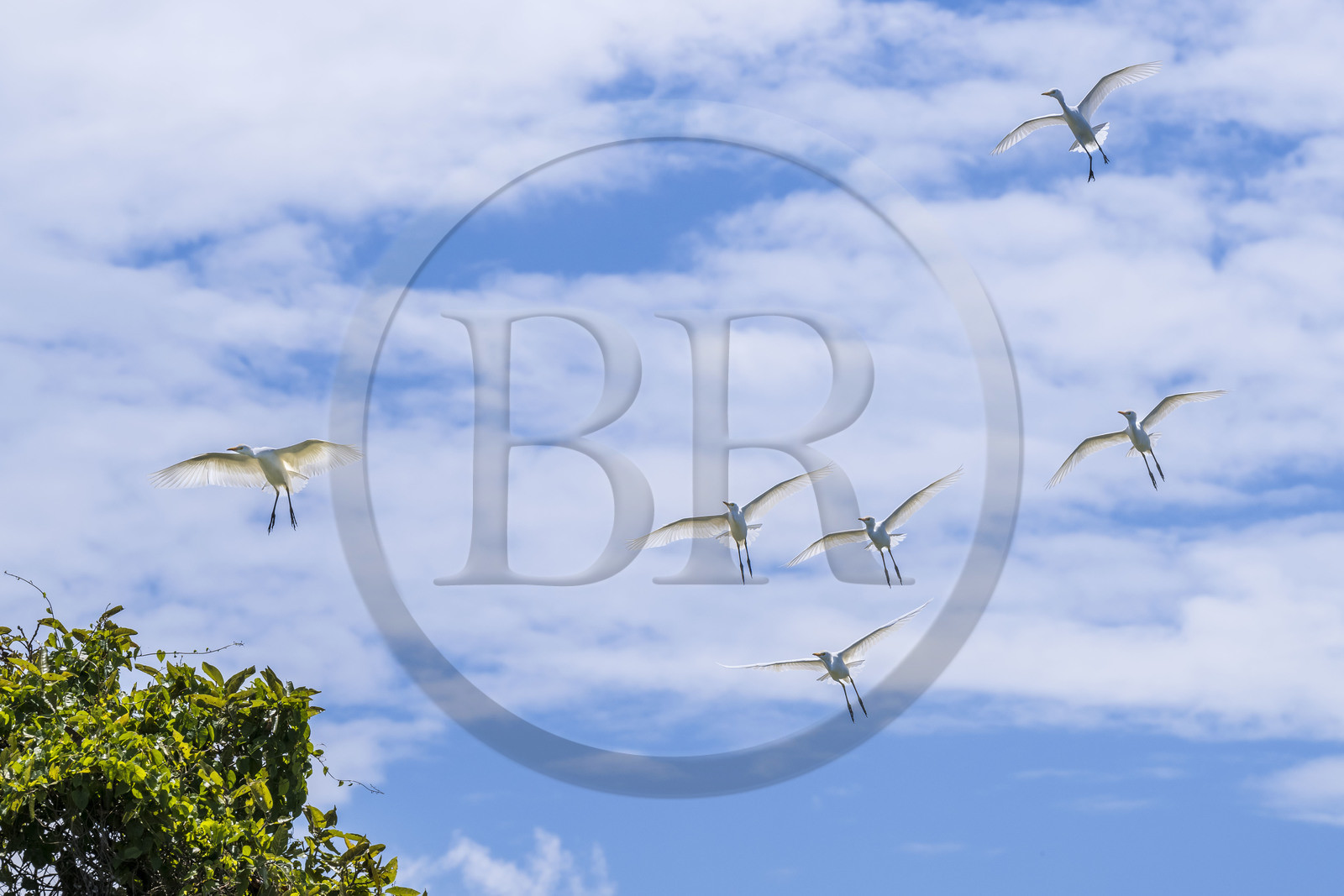 Rwanda, Province de l’Ouest, Karongi (anciennement nommée Kibuye), lac Kivu,