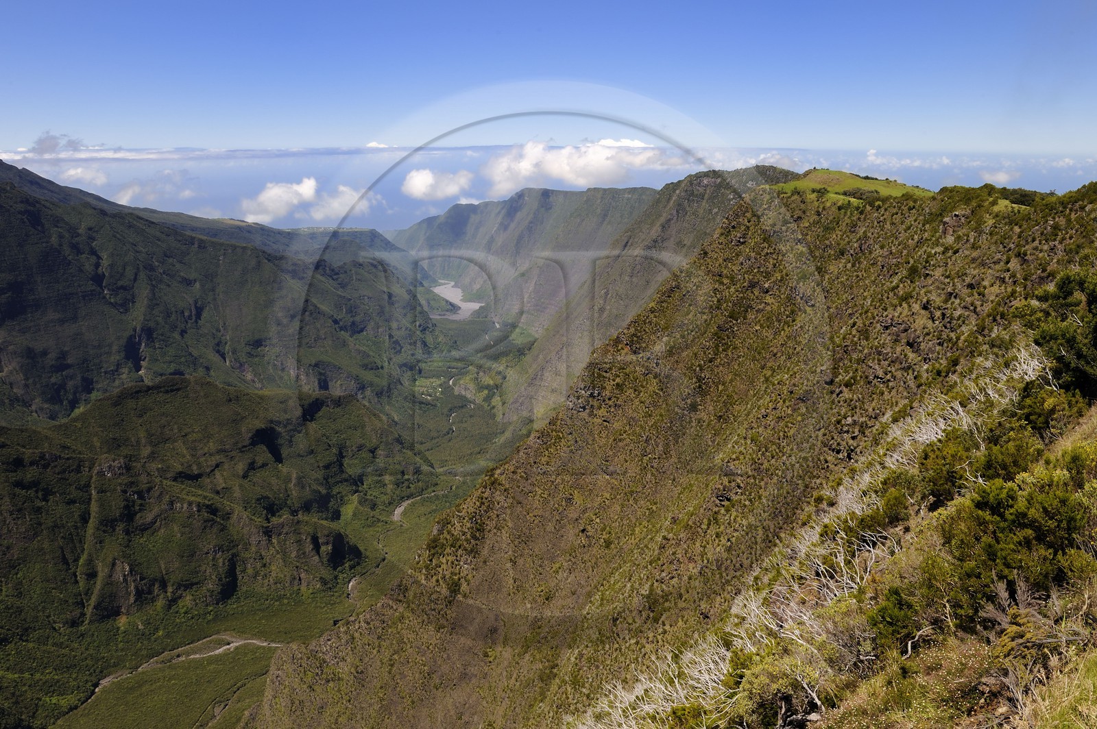 France, île de la Réunion, la Rivière des Remparts sur les pentes du volcan du Piton de la Fournaise, classé Patrimoine Mondial de l'UNESCO