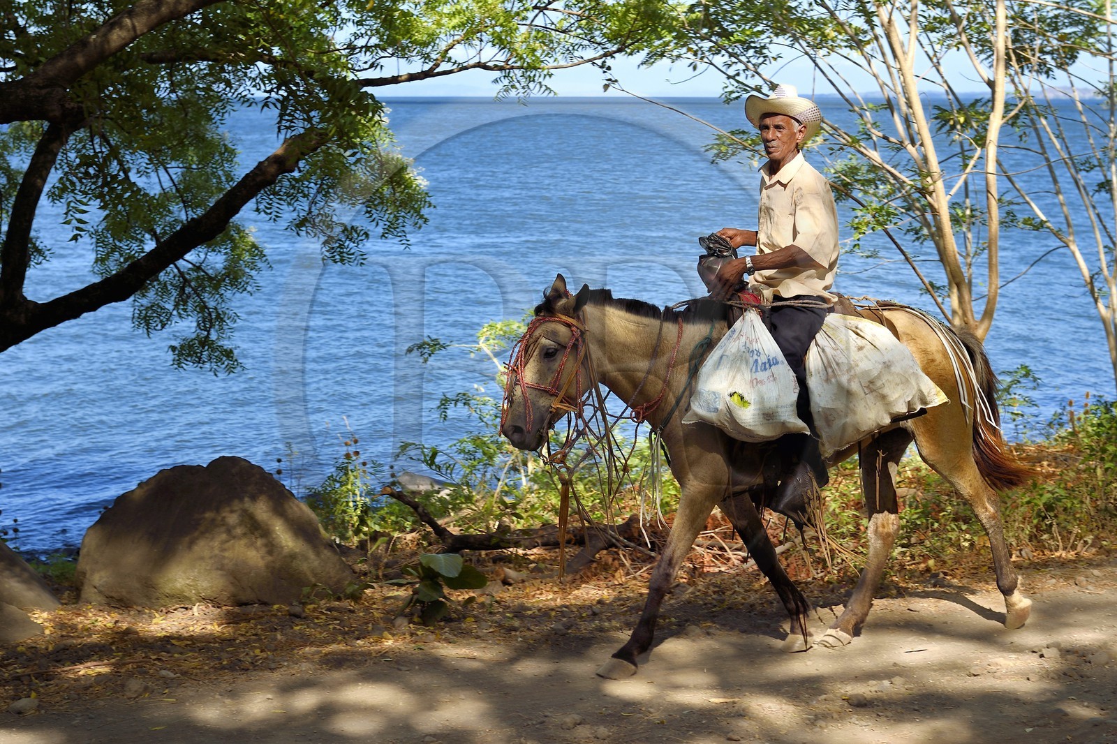Nicaragua, Ile d'Ometepe sur le lac Nicaragua, cavalier en bordure du lac