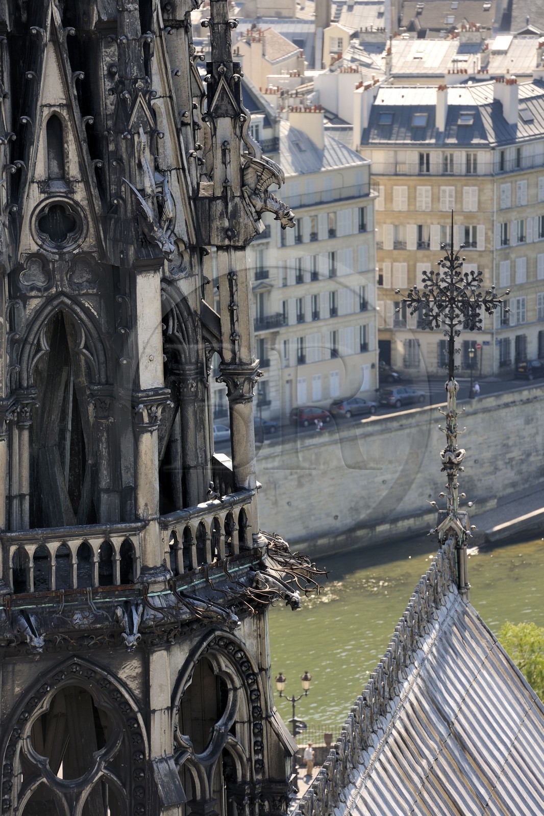 France, Paris (75), île de la Cité, la cathédrale Notre-Dame, la flèche