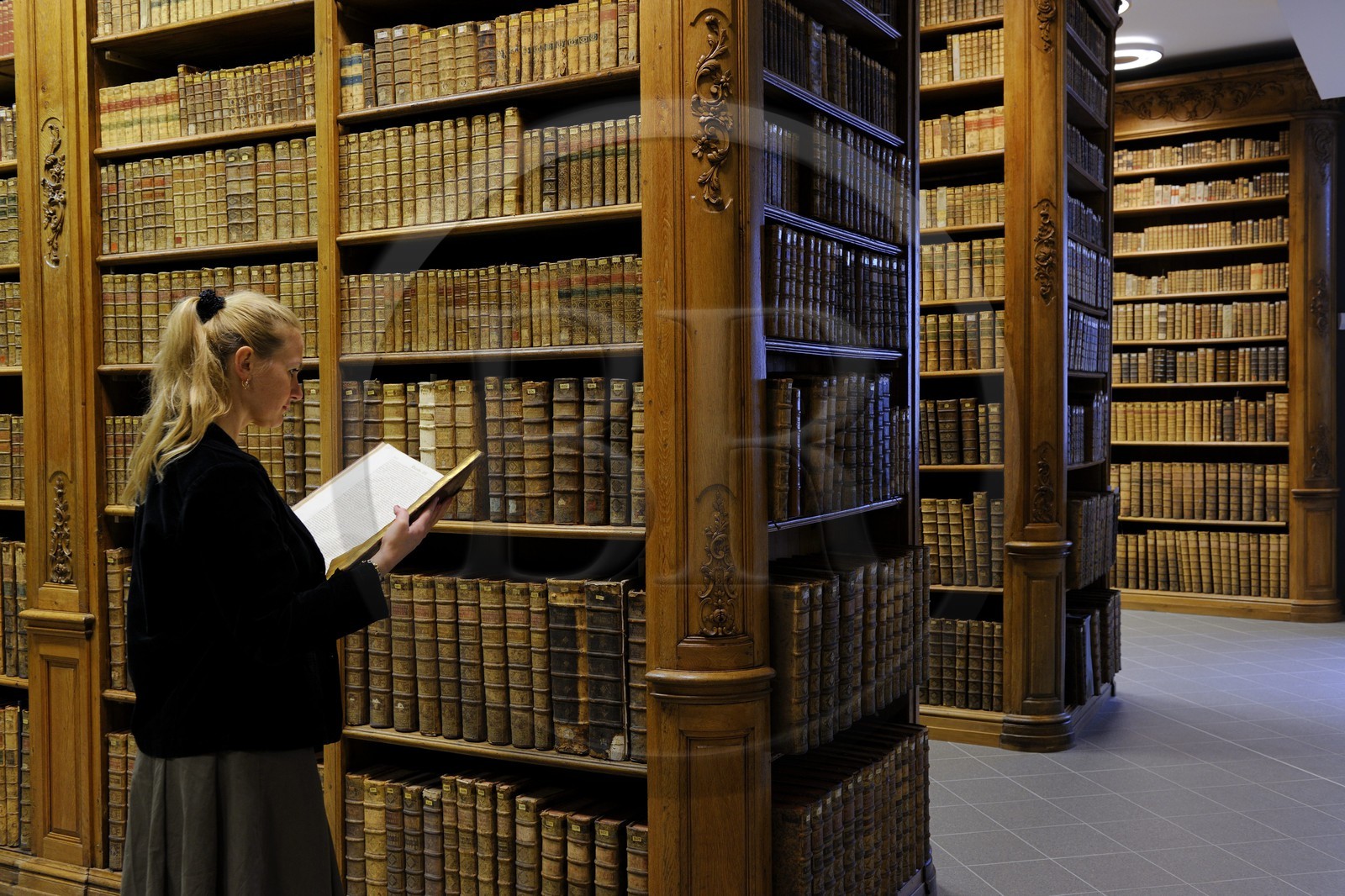 France, Vosges (88), Epinal, la B.M.I. (Bibliothèque Multimédia Intercommunale) renferme un fonds important d'ouvrages anciens (manuscrits, incunables…) installé dans des boiseries du 18e siècle au cœur d'un bâtiment inauguré en avril 2009