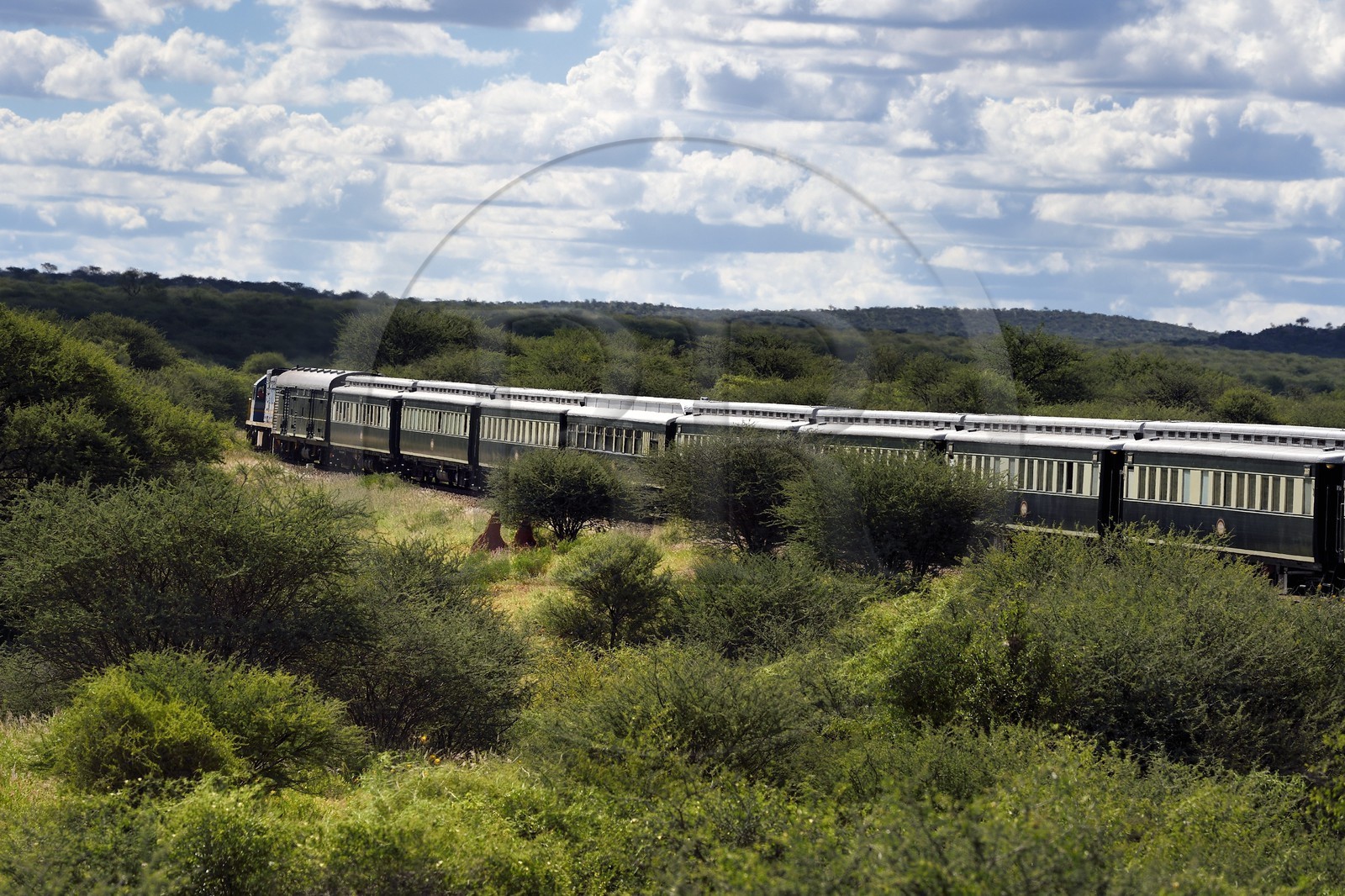 Namibie, région de Otjozondjupa, le train Shongololo express traversant le bush namibien