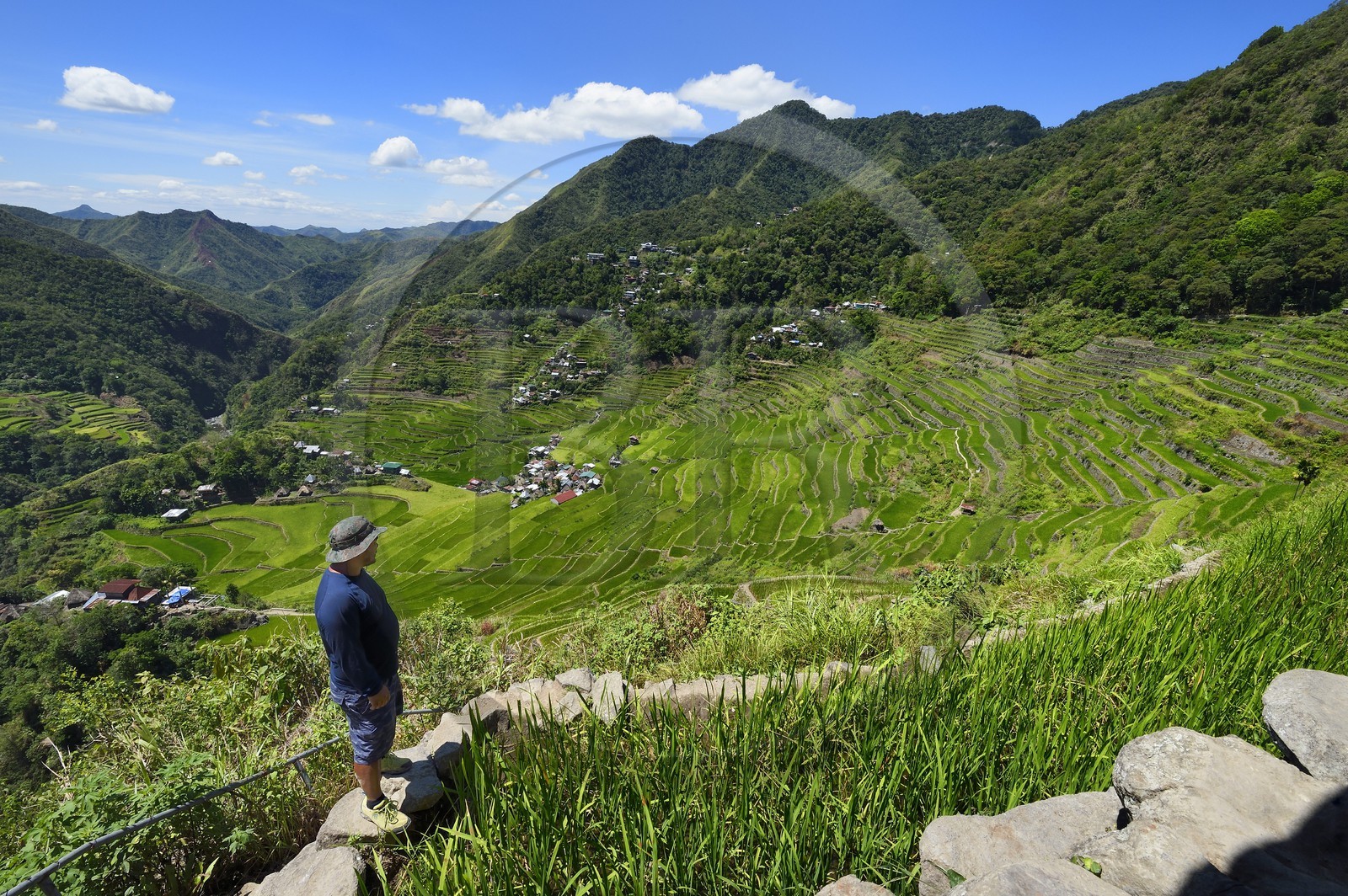 Philippines, province d'Ifugao, les rizières en terrasses de Banaue autour du village de Batad, classées Patrimoine Mondial de l'UNESCO, alimentées par un ancien système d'irrigation depuis la forêt tropicale au-dessus des terrasses
