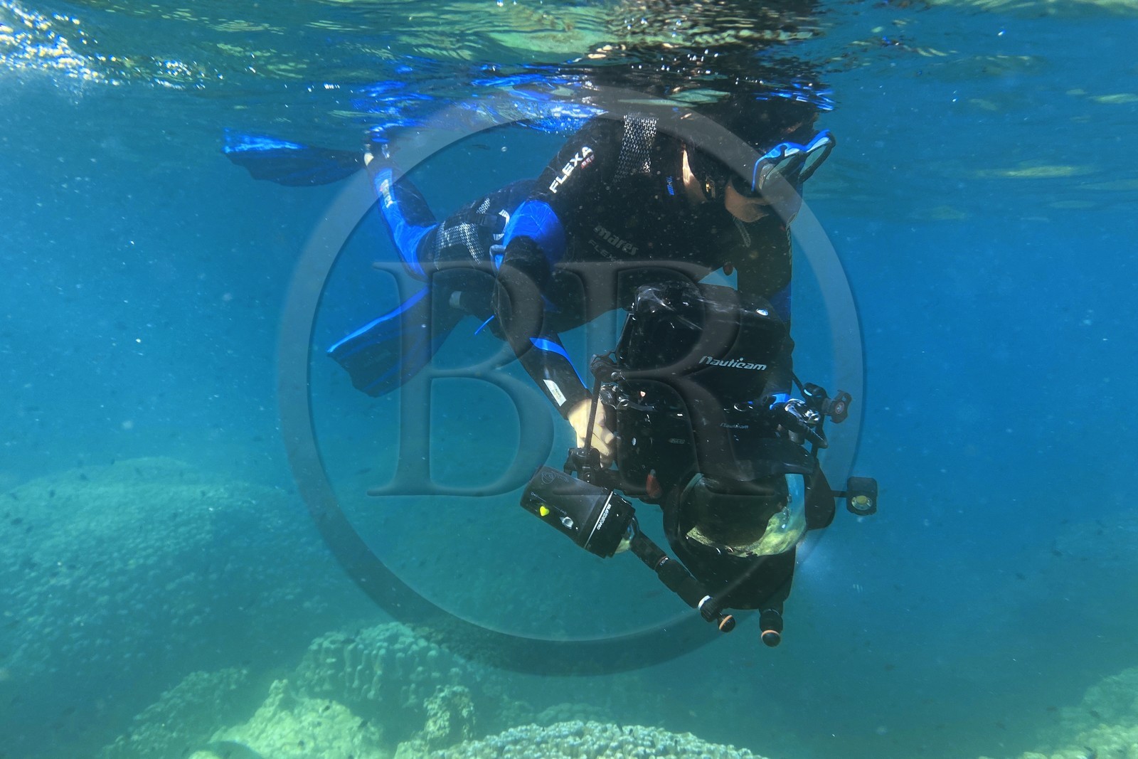 Sultanat d'Oman, gouvernorat de Mascate, réserve naturelle des Iles Daymaniyat, la photographe-plongeuse Maisa Al Hooti