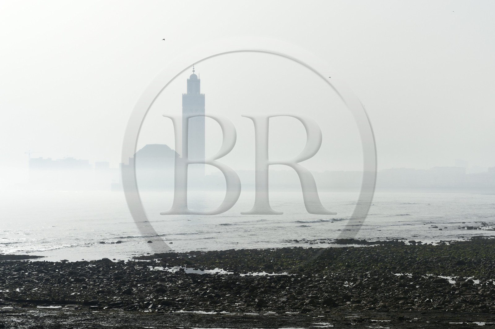 Maroc, Casablanca, Grande Mosquée Hassan II