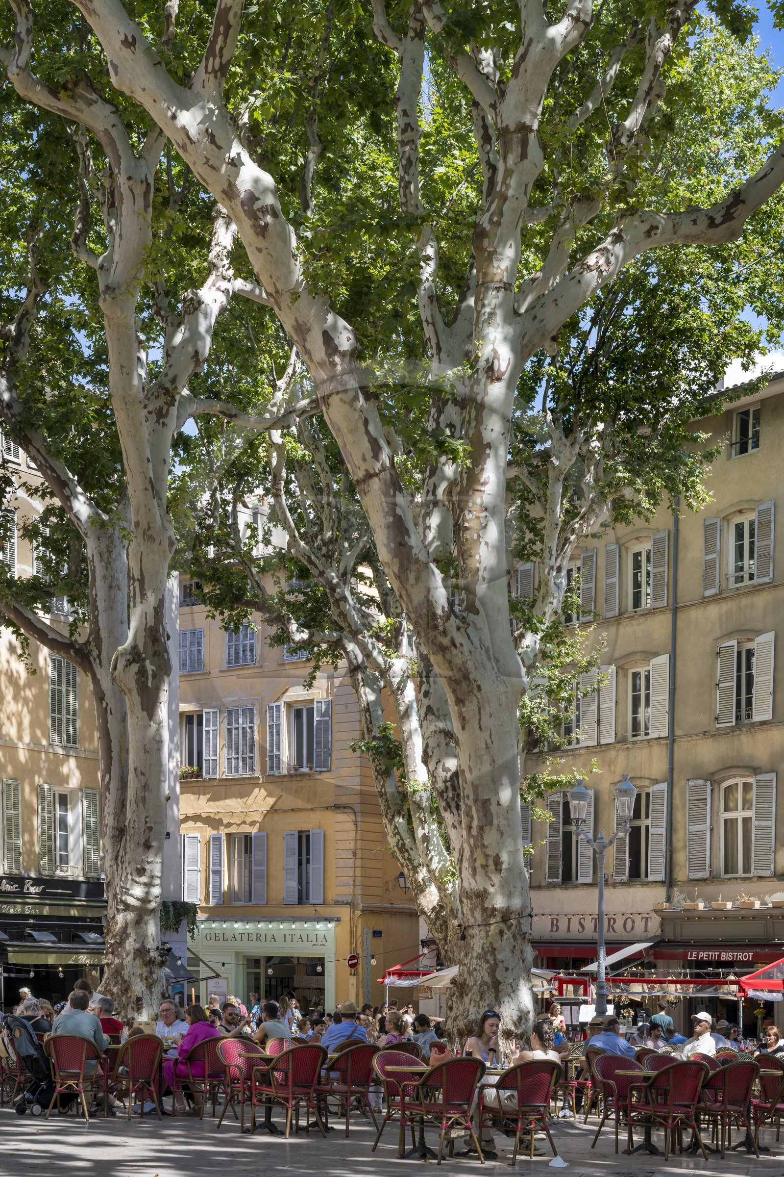 France, Bouches du Rhone, Aix en Provence, café terrace place Richelme