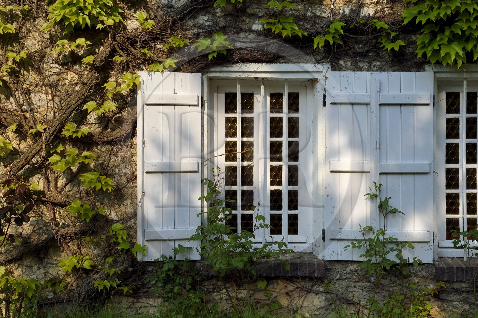 France, Yvelines (78), Montchauvet